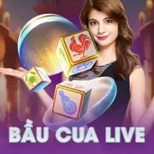 bau cua livestream vgmn 108 rik